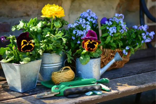 Reciclagem Verde: Reutilize Materiais para Criar Vasos e Canteiros para Plantas de Interior